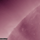 Illustration for article titled Behold The Transit of Venus In Photographs